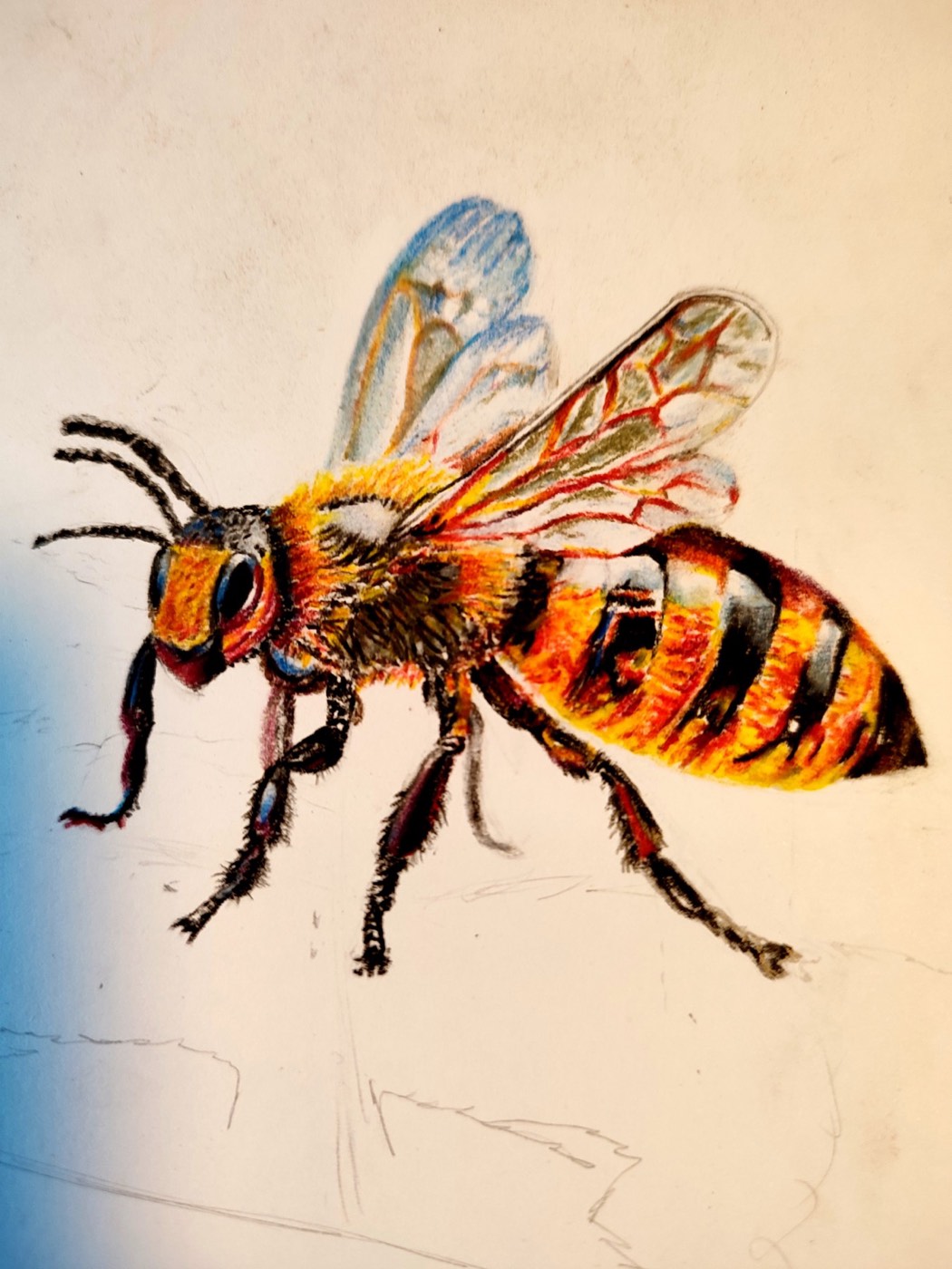 Honeybee in Detail tattoo — OG Tatoo, Enschede